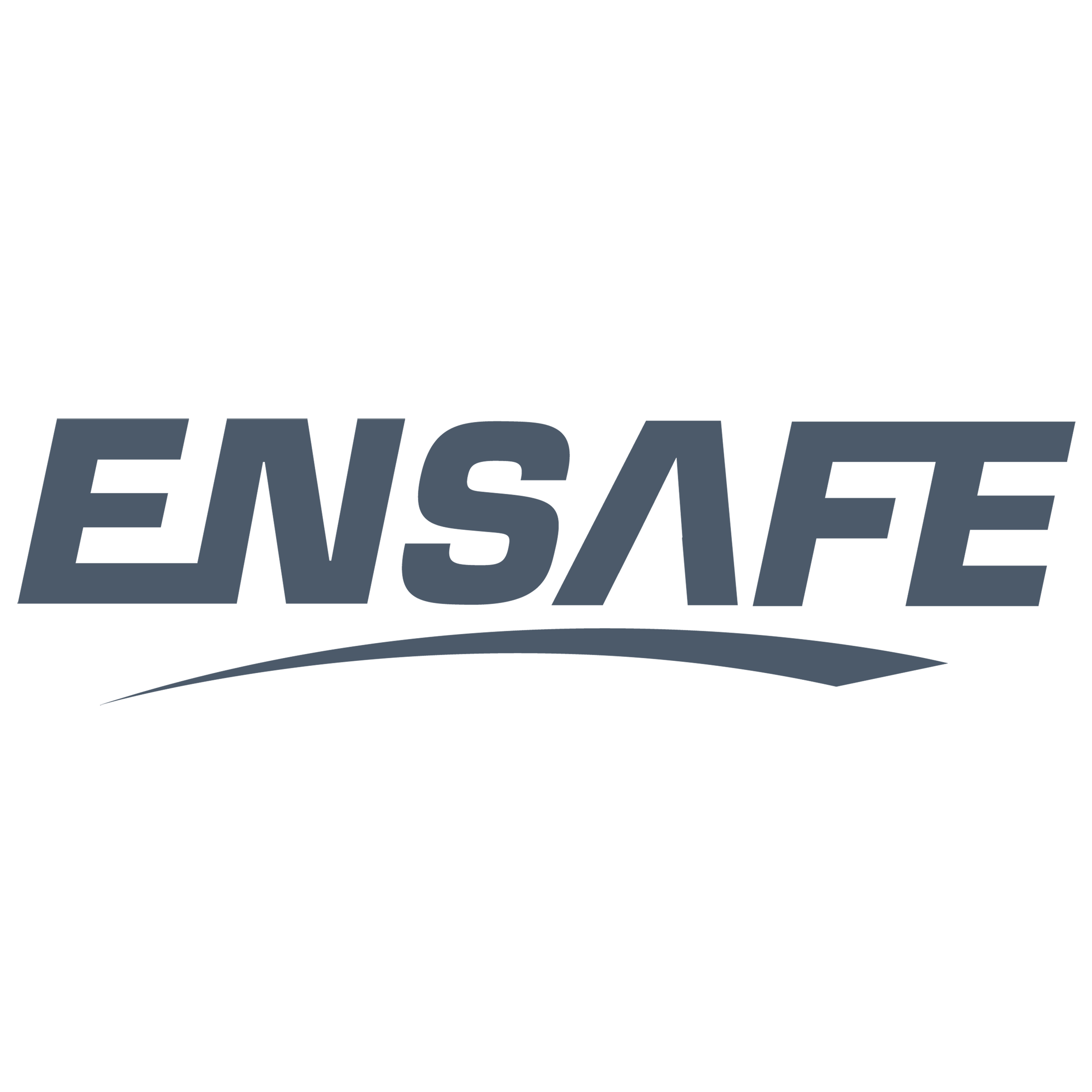 28 2025 EnSafe logo