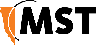 35 2025 MST Global logo